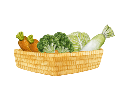 Saesa_Protein_Illustration