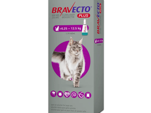 Bravecto_spoton_cats_l