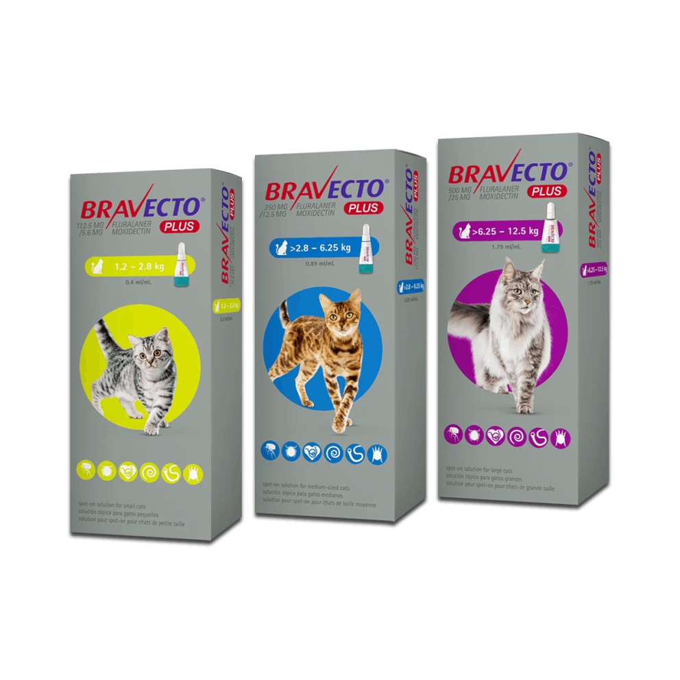 Bravecto_spoton_cats_group