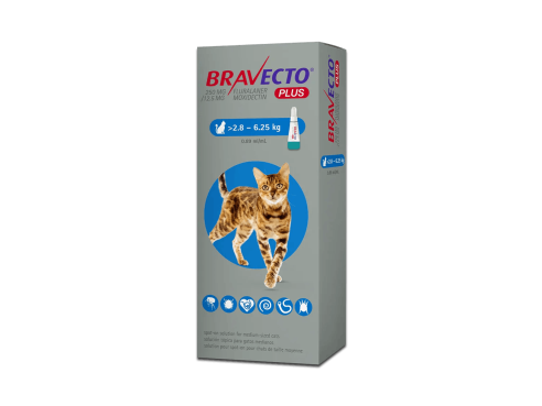 Bravecto_spoton_cats_m
