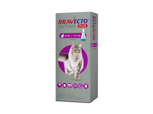 Bravecto_spoton_cats_l