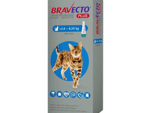 Bravecto_spoton_cats_m