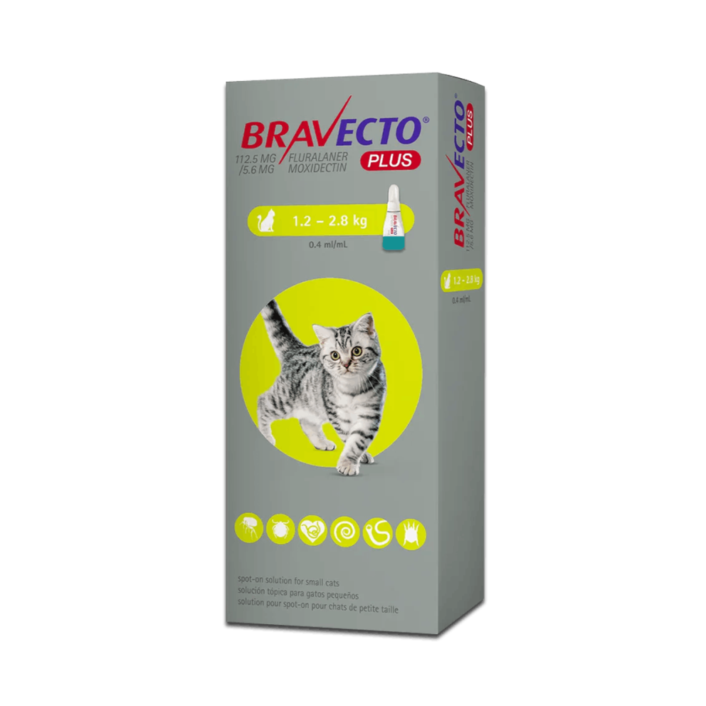 Bravecto_spoton_cats_s