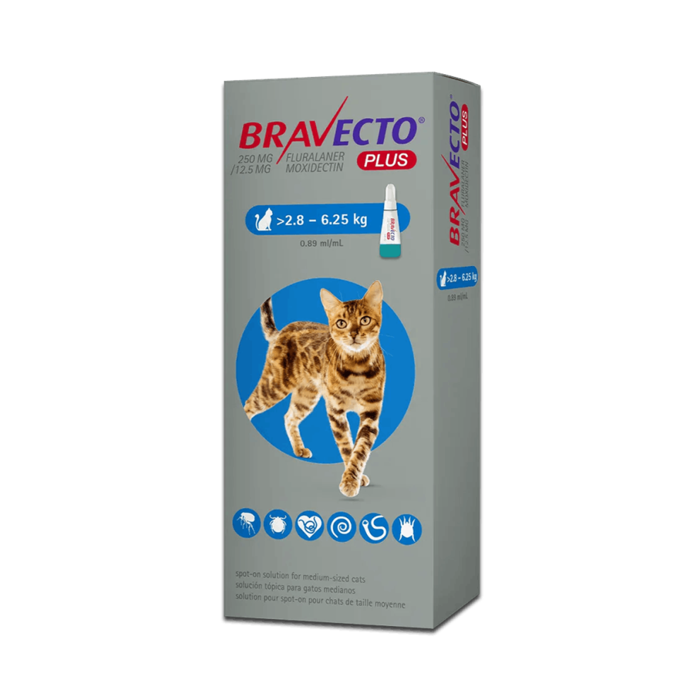 Bravecto_spoton_cats_m