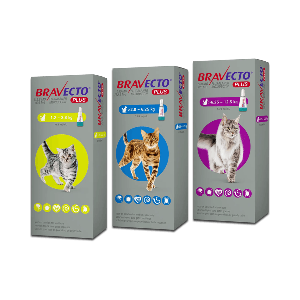 Bravecto_spoton_cats_group