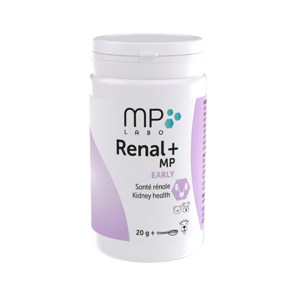Renal+_MP_Early