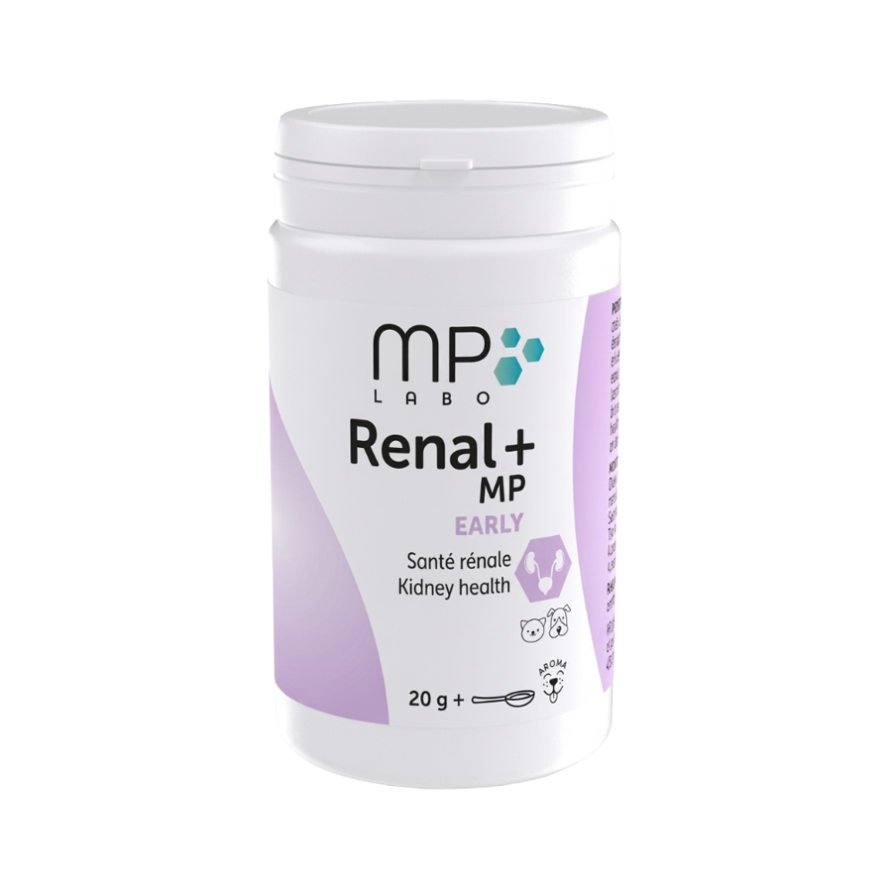Renal+_MP_Early