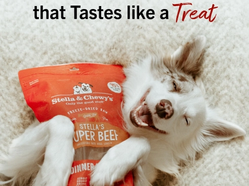 S&amp;C_dog_Freeze_Dried_Dinner_Patties_Super_Beef_5.5oz_1.3