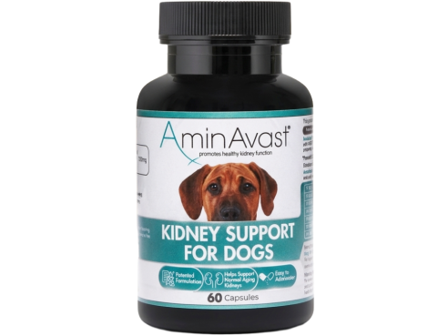 Kidney_Support_capsule_dogs