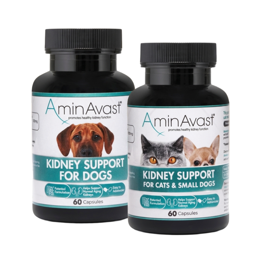 Kidney_Support_capsule_group