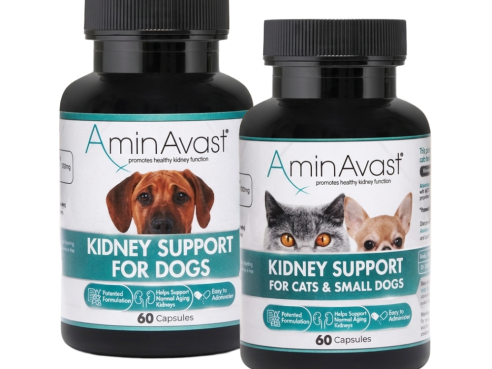 Kidney_Support_capsule_group