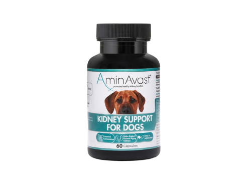 Kidney_Support_capsule_dogs