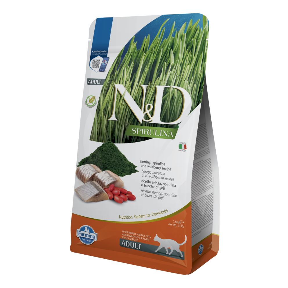 1.5kg-Adult-Herring_1@web