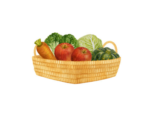 Saesa_Apple_Illustration