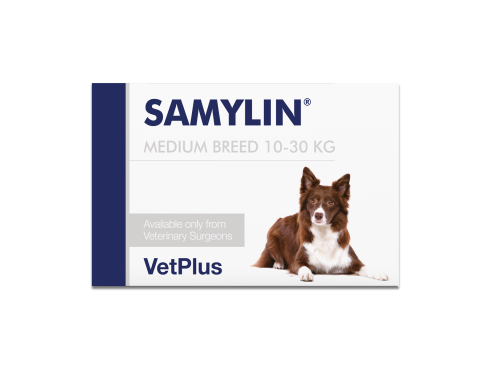 VetPlus_Samylin_M
