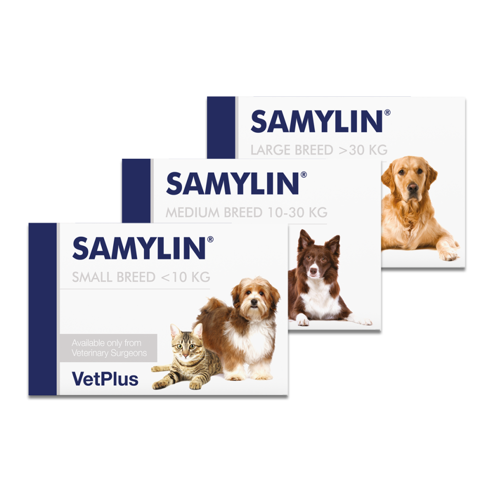 VetPlus_Samylin_Group