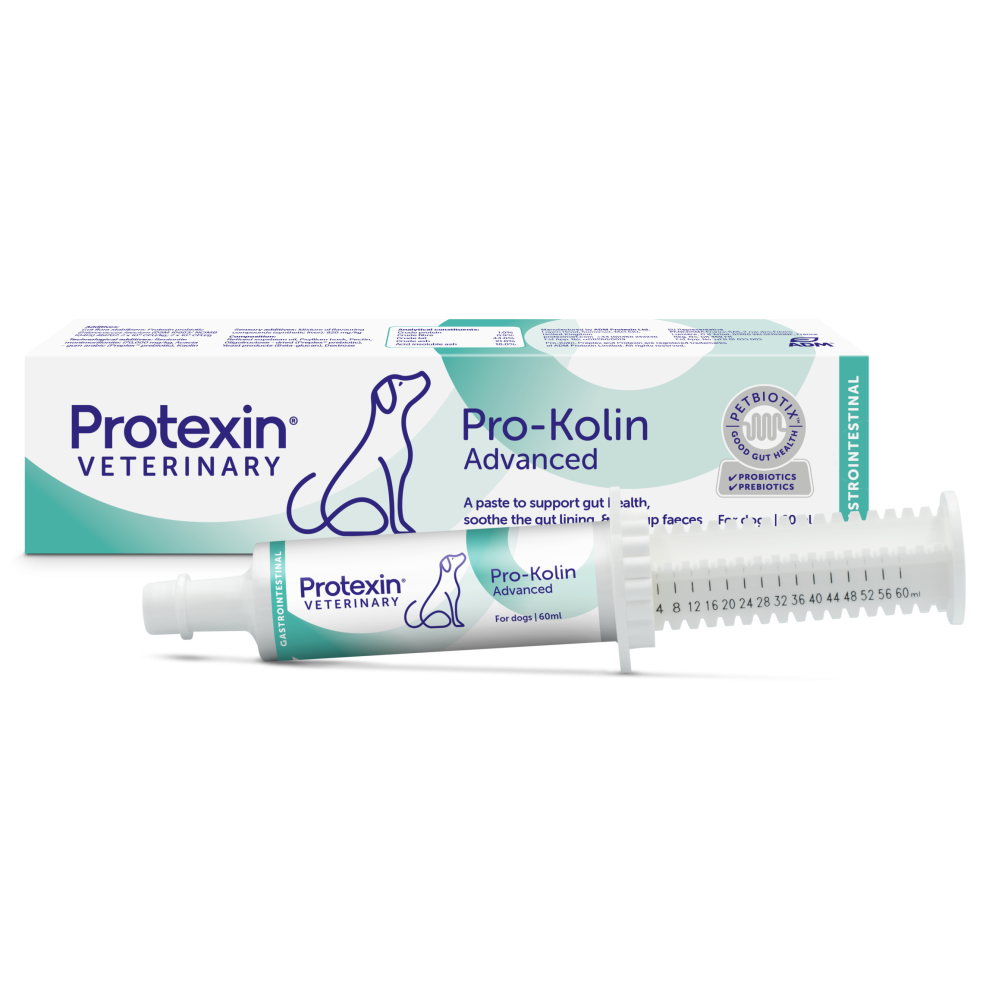 Pro-Kolin_Advanced_for_Dogs_60ml