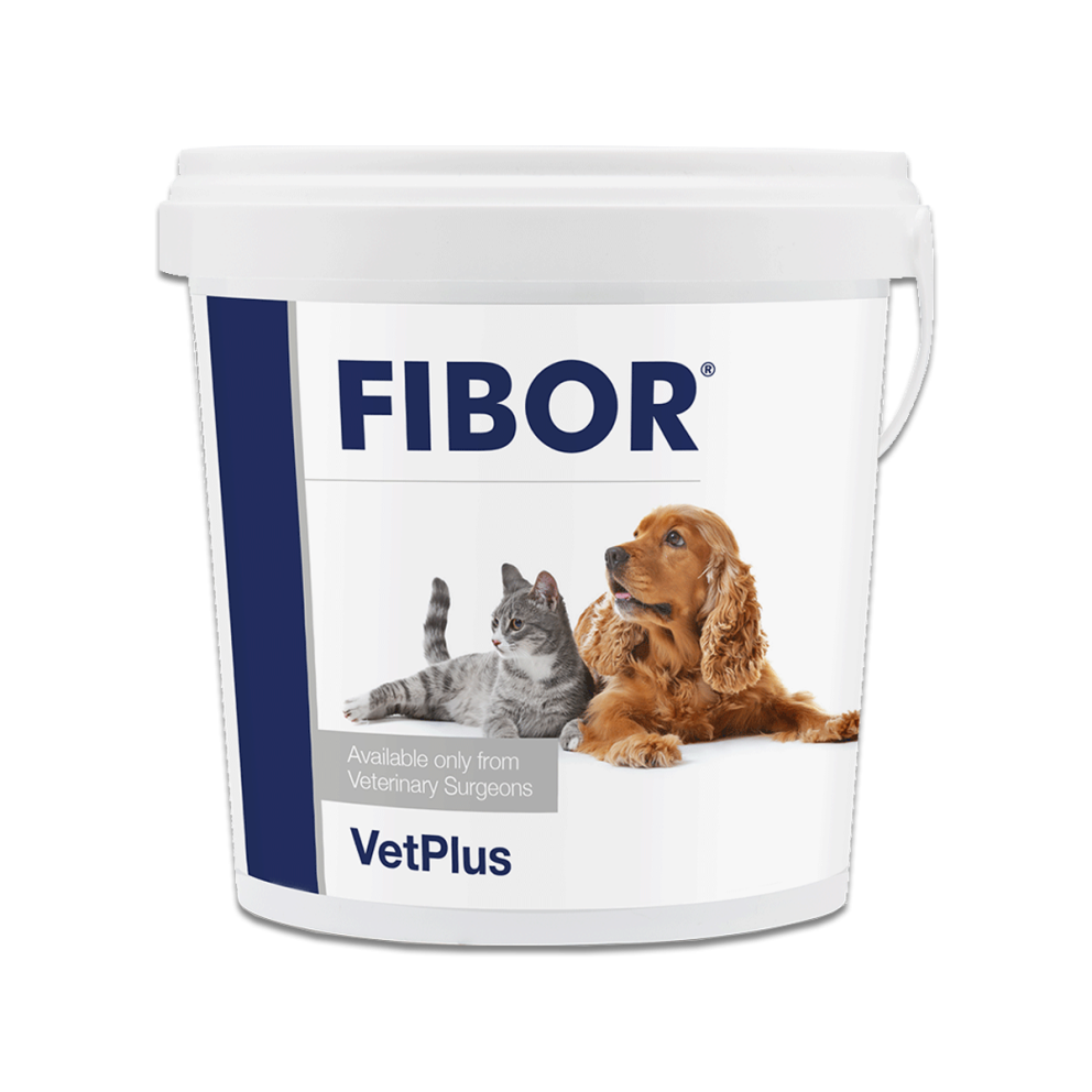 VetPlus_Fibor
