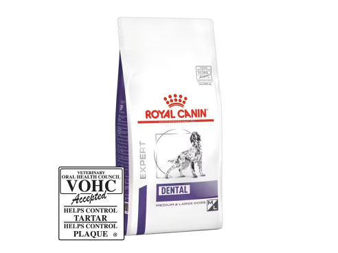 RC_Dental_Medium_Dog