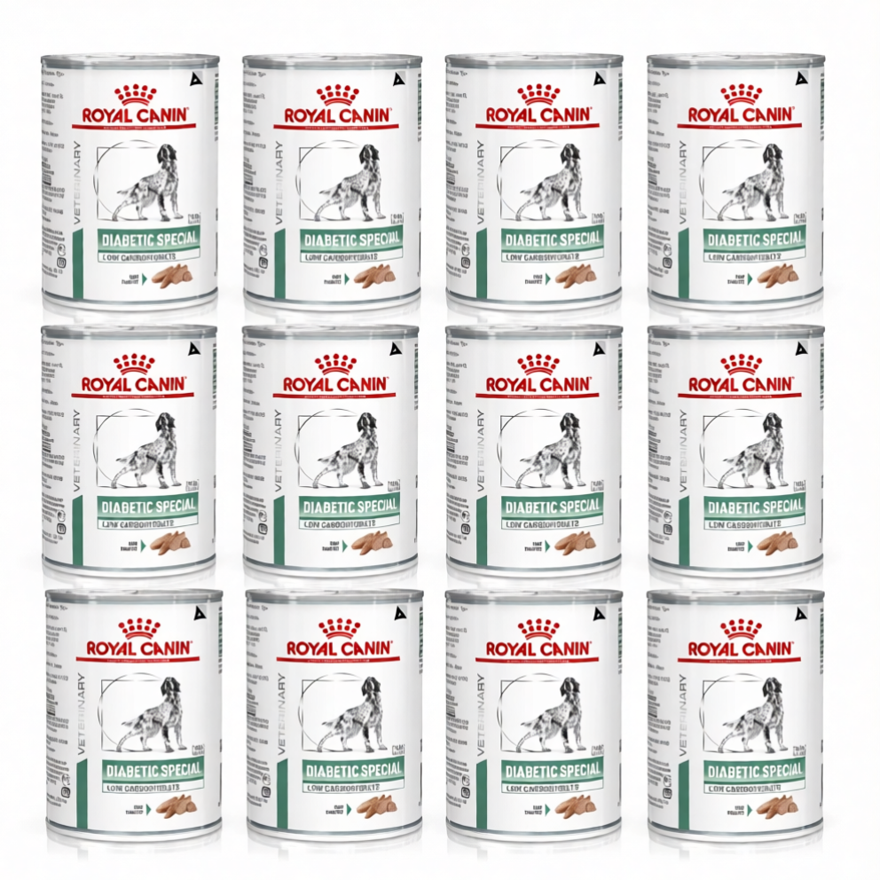 RC_dog_canned_diabetic_special_410gx12_1