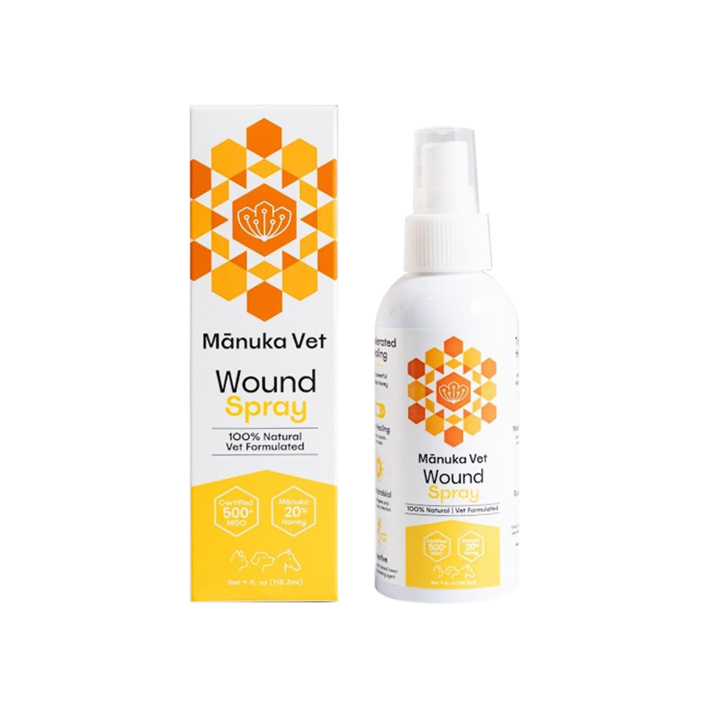 WhatsApp_Image_2026-02-12_at_19.54.32