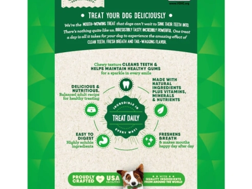 Dental_Bone_Large_17_2