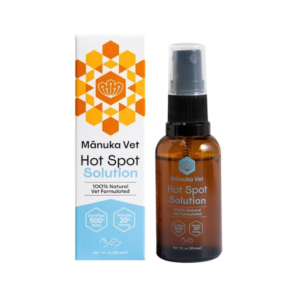 WhatsApp_Image_2026-02-12_at_19.54.31_(1)