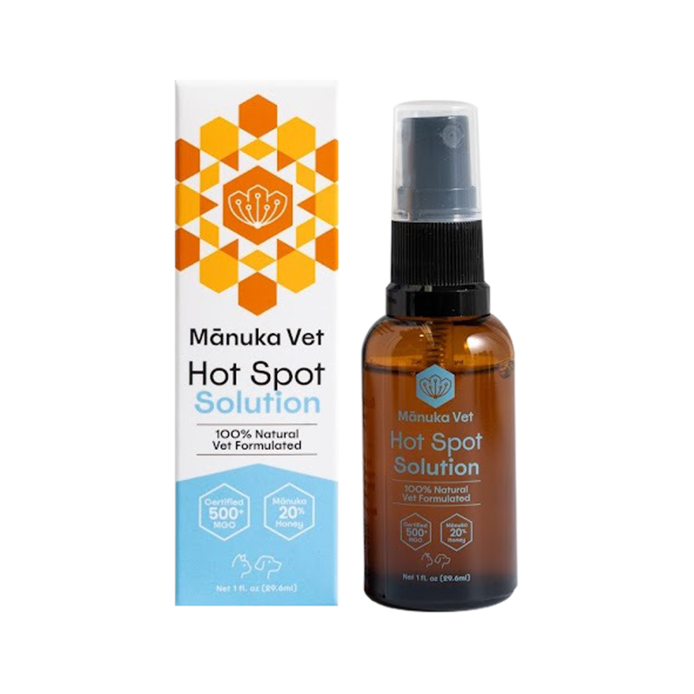 WhatsApp_Image_2026-02-12_at_19.54.31_(1)