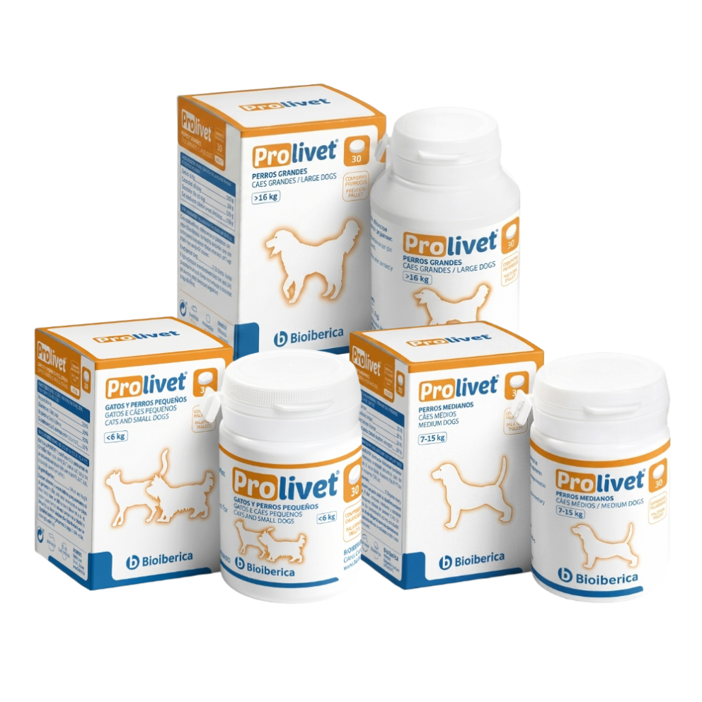 Prolivet_group