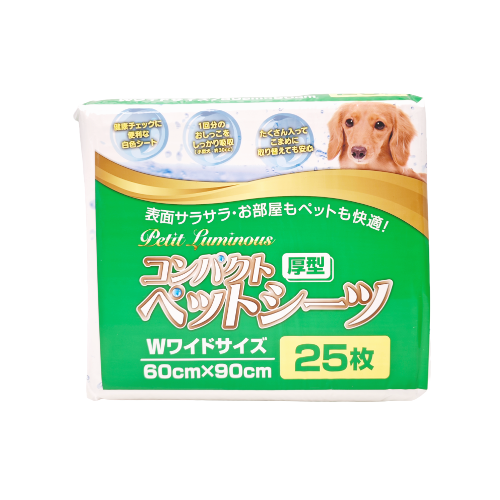 Petit_Luminous_60x90cm