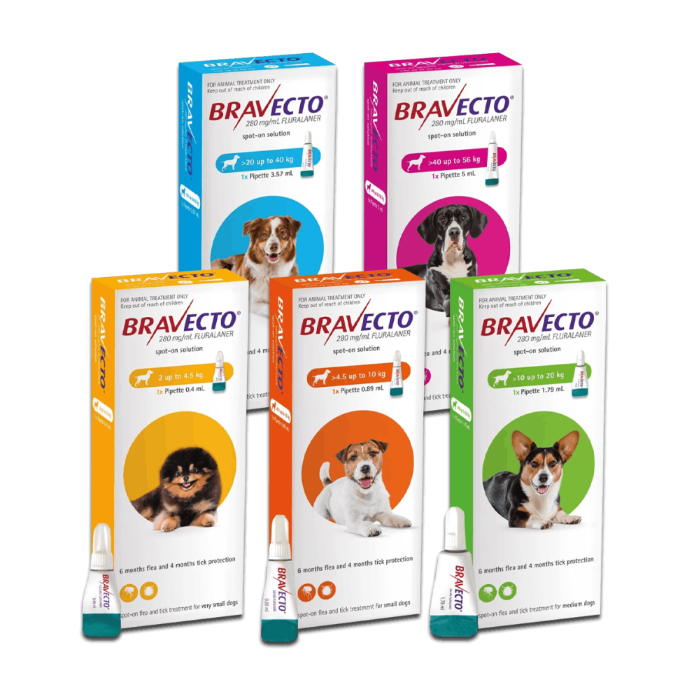 Bravecto_spoton_group