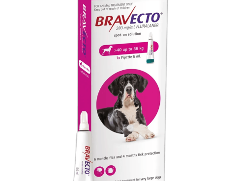 Bravecto_spoton_purple