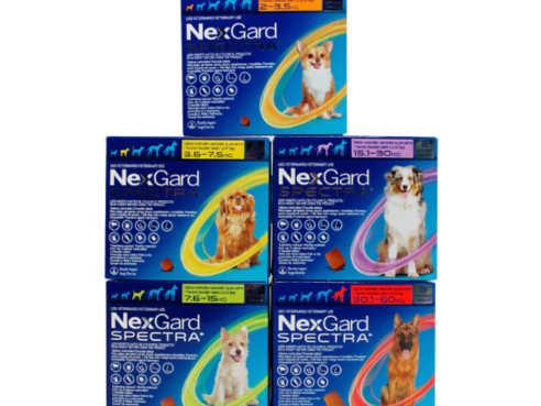 img-products-NexGard_Spectra-1