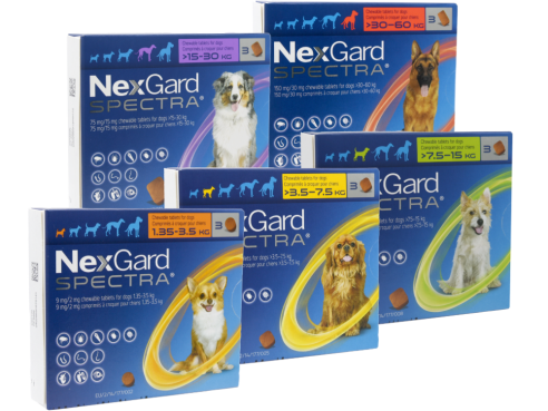 Nexgard_Spectra_group