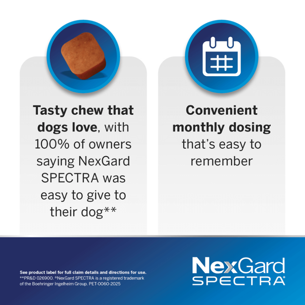Nexgard-spectra-dog-function-3