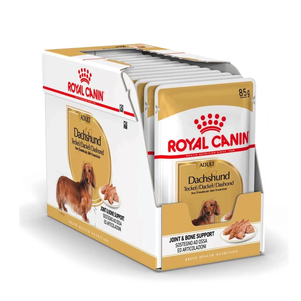 Dachshund_Adult_Loafx12