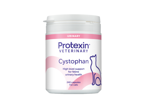 Cystophan_for_Cats