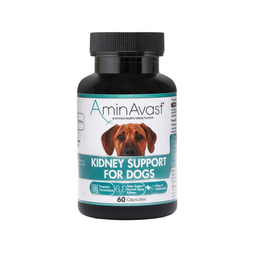Kidney_Support_capsule_dogs