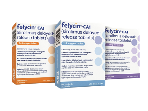 Felycin-ca1_group