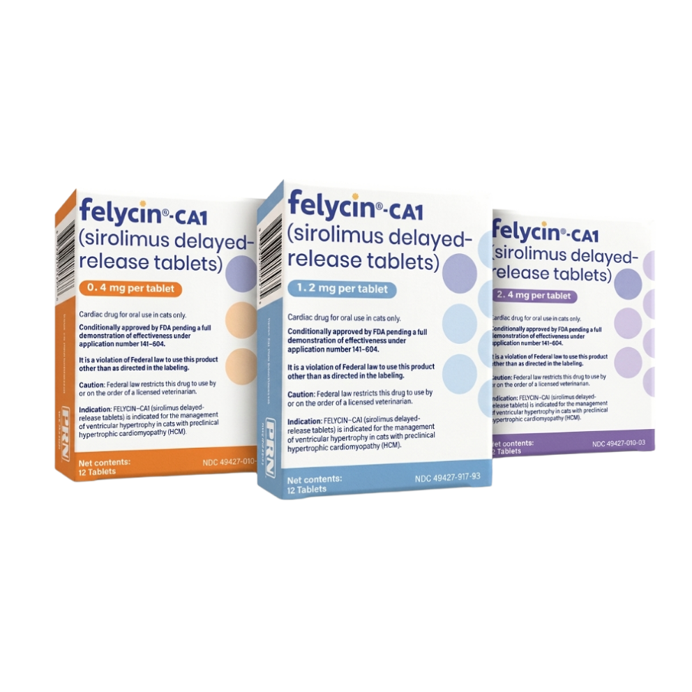 Felycin-ca1_group