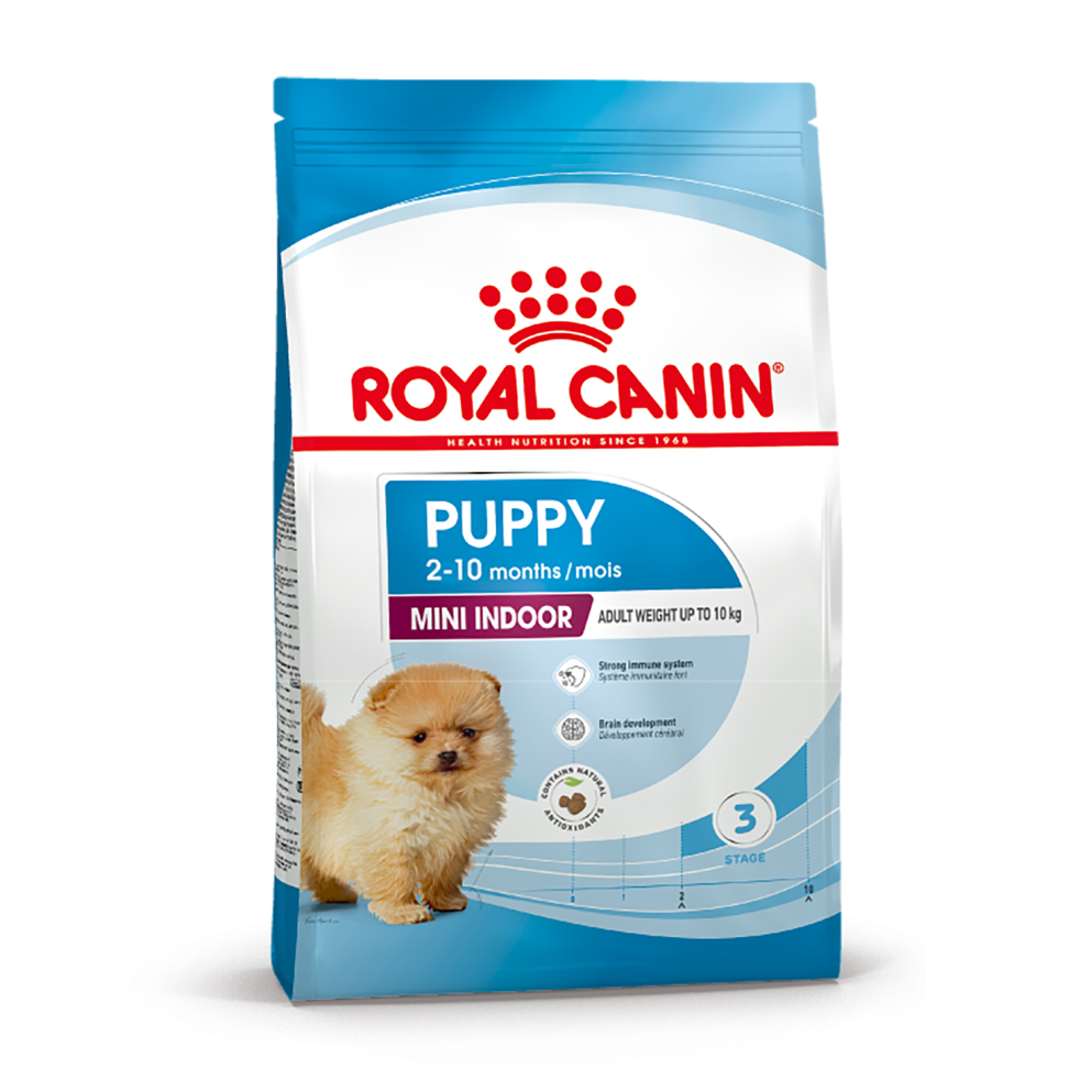 Mini_indoor_puppy