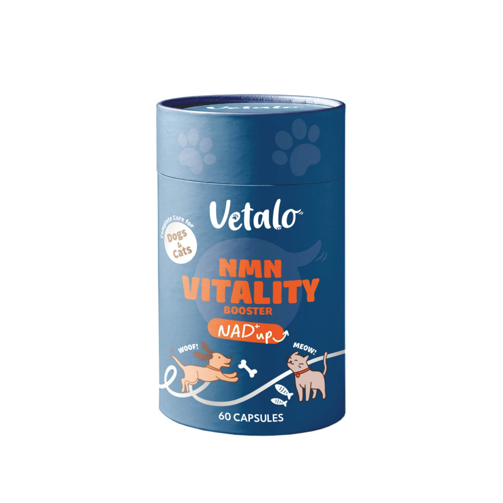 allPDT_工作區域_1_複本_2