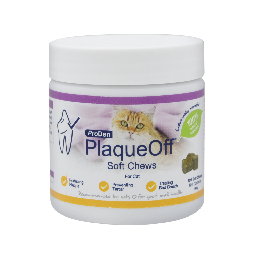 Plaque_off_soft_chews_cat_01