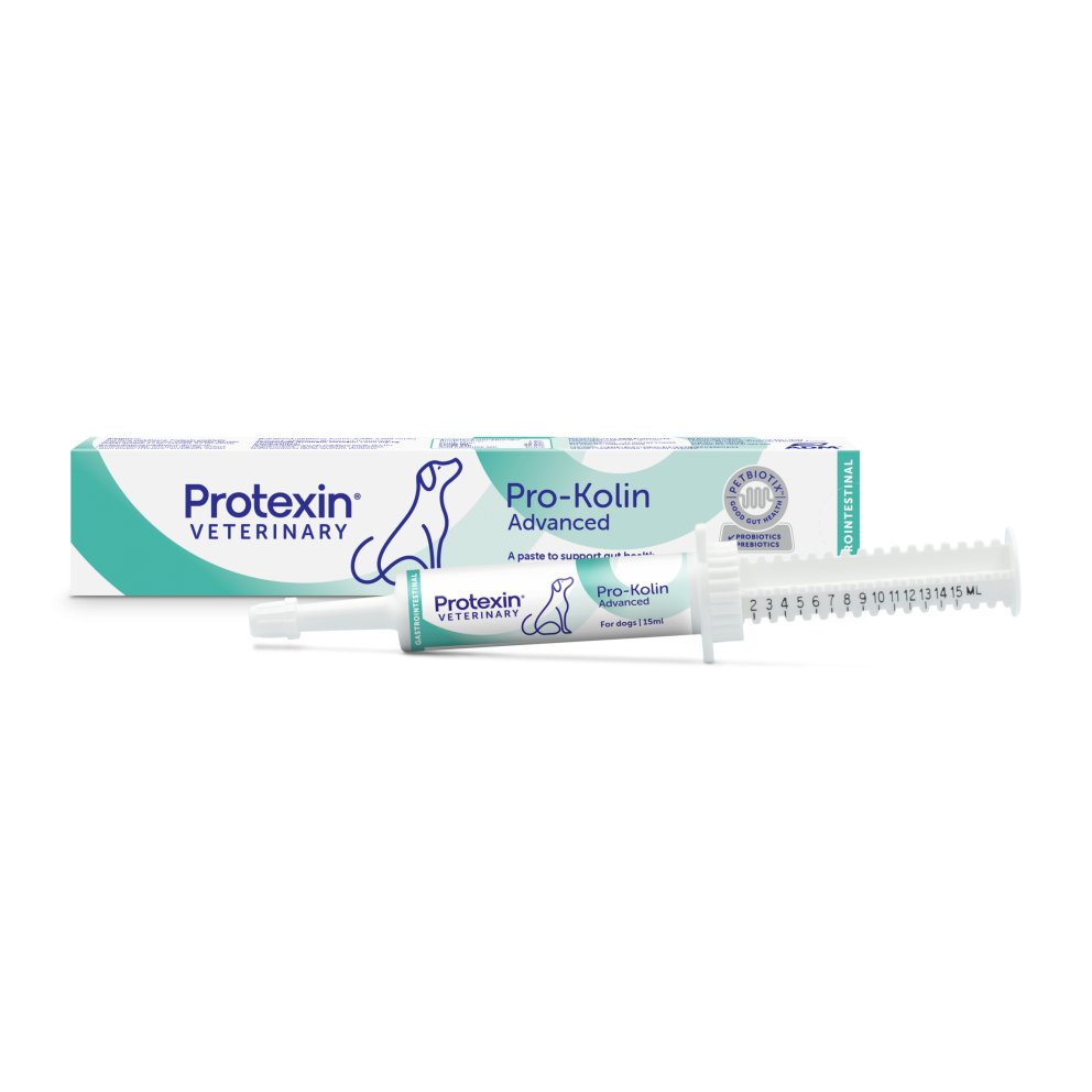Pro-Kolin_Advanced_for_Dogs_15ml