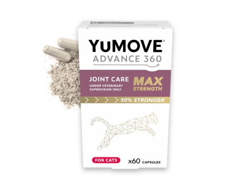 Product-Slider_ADV-360-Cat-Max-Tablet