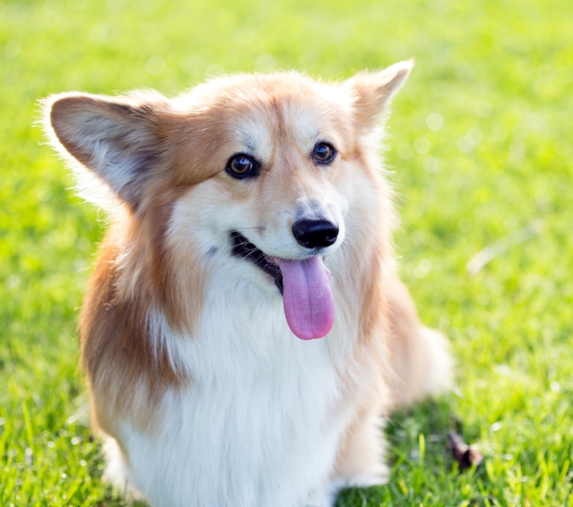 Self Photos / Files - img-shortcuts-2